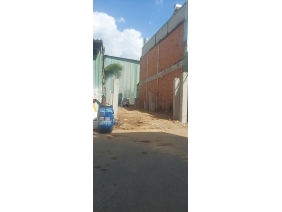 Đào Móng Giá Rẻ Nhanh Chóng